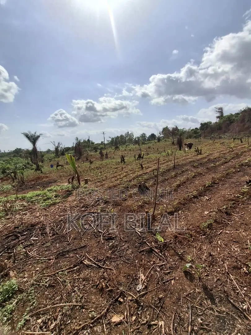 Land at Dida