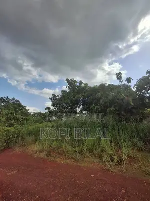 Land at Dida