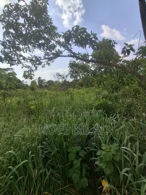 Land at Dida