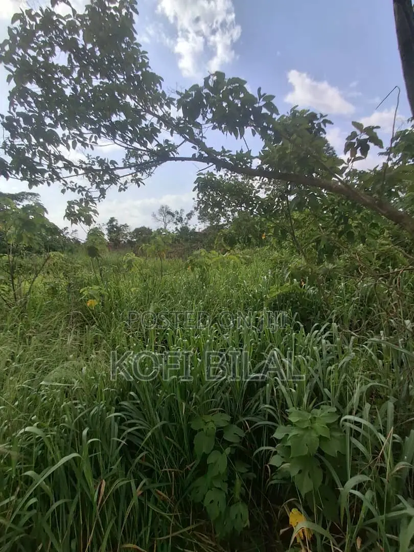 Land at Dida