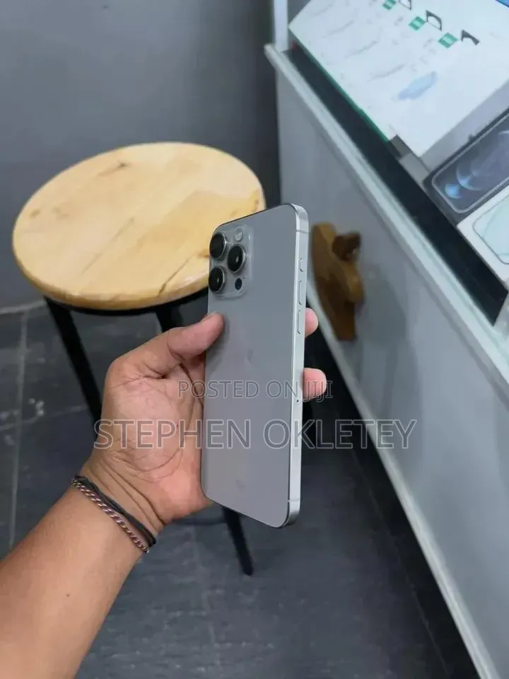 Apple iPhone 15 Pro Max 256 GB Silver