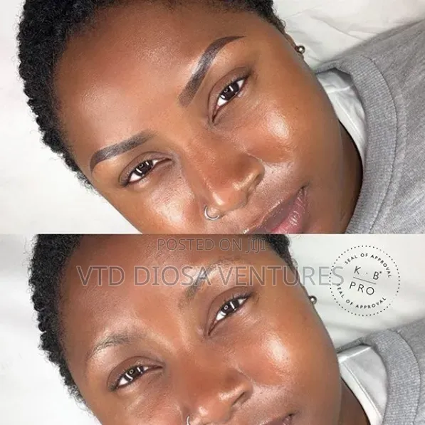 Eyebrow Tattoo (Micro Shading and Microblading )