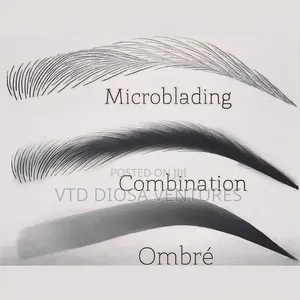 Eyebrow Tattoo (Micro Shading and Microblading )