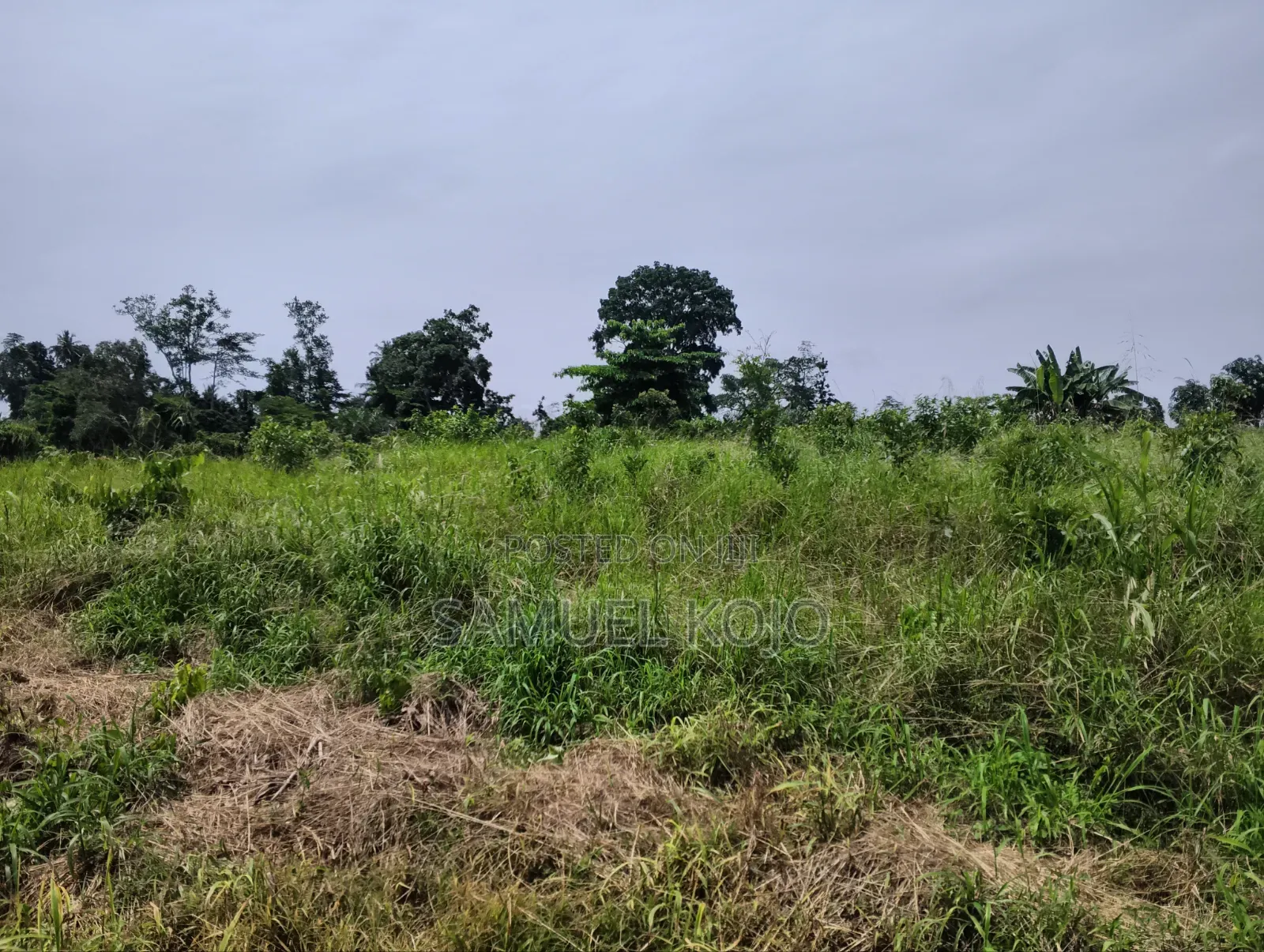 Plots for Sale