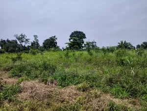 Plots for Sale