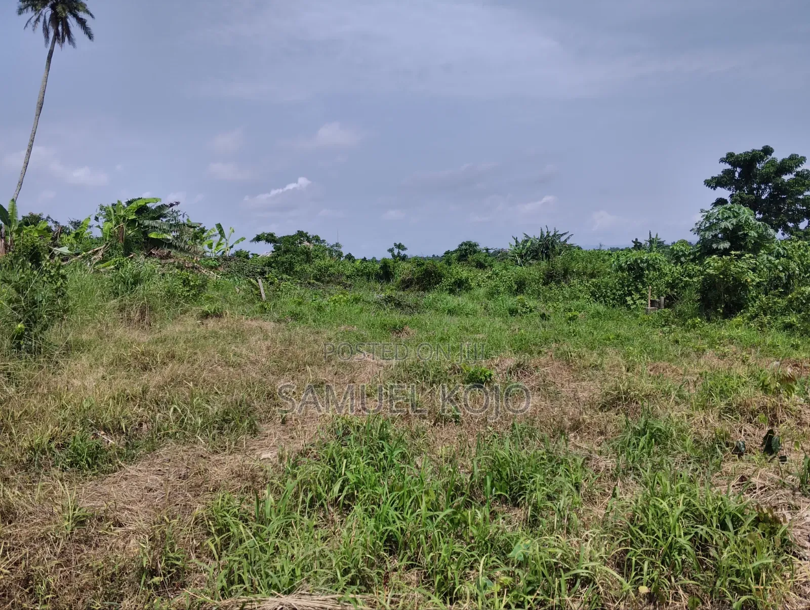 Plots for Sale