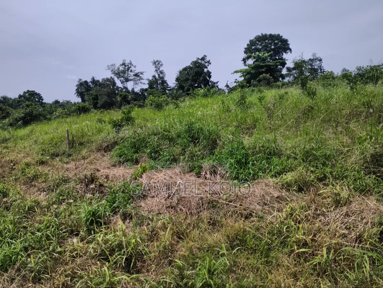 Plots for Sale