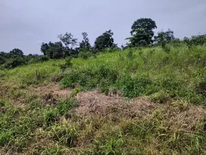 Plots for Sale
