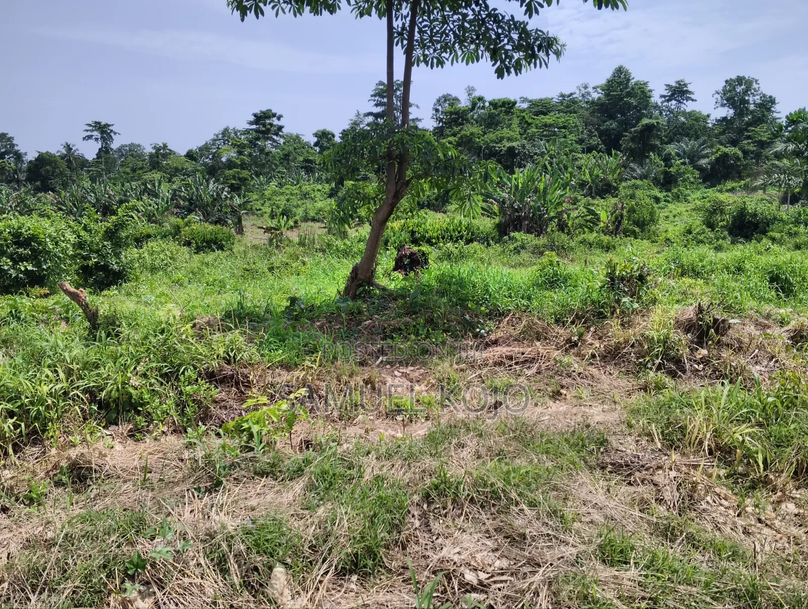 Plots for Sale