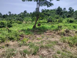 Plots for Sale