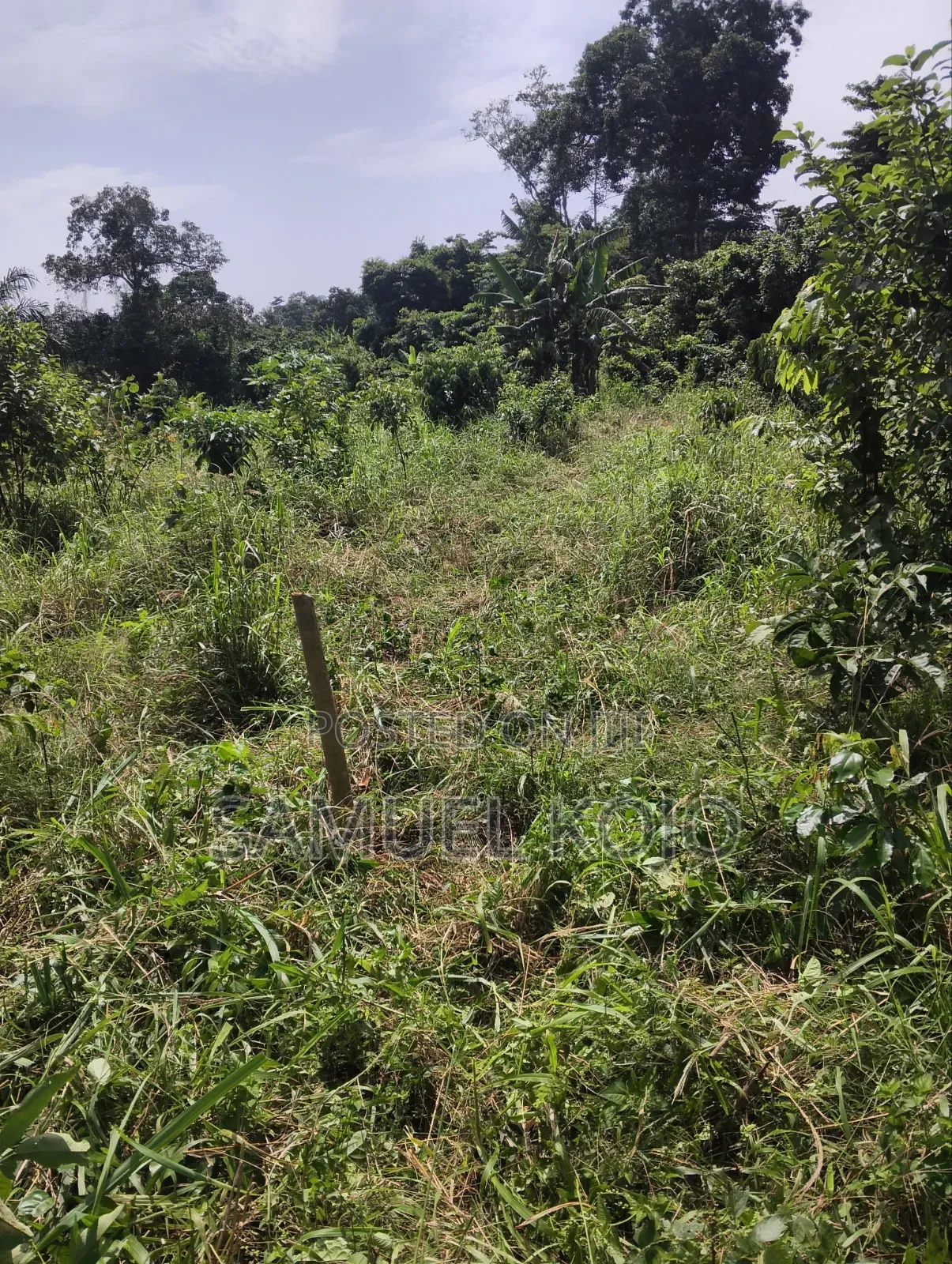 Plots for Sale