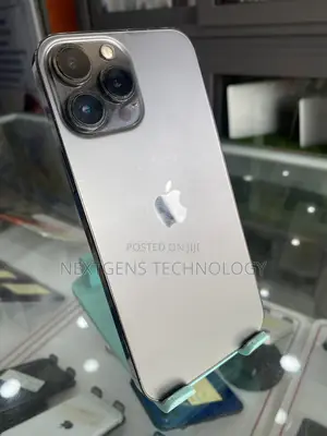 Apple iPhone 13 Pro Max 128 GB Gray