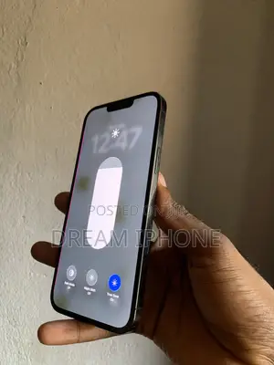 Apple iPhone 13 Pro Max 256 GB Gray