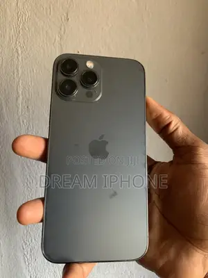 Apple iPhone 13 Pro Max 256 GB Gray