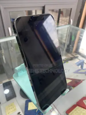 Apple iPhone 13 Pro 256 GB Gray