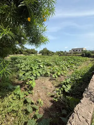 Executive 2 Plots of Land for Sale at Kokrobite