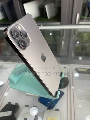 Apple iPhone 12 Pro 256 GB Gray