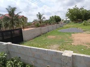 Two Classic Plots for Your Dream House- Amrahia
