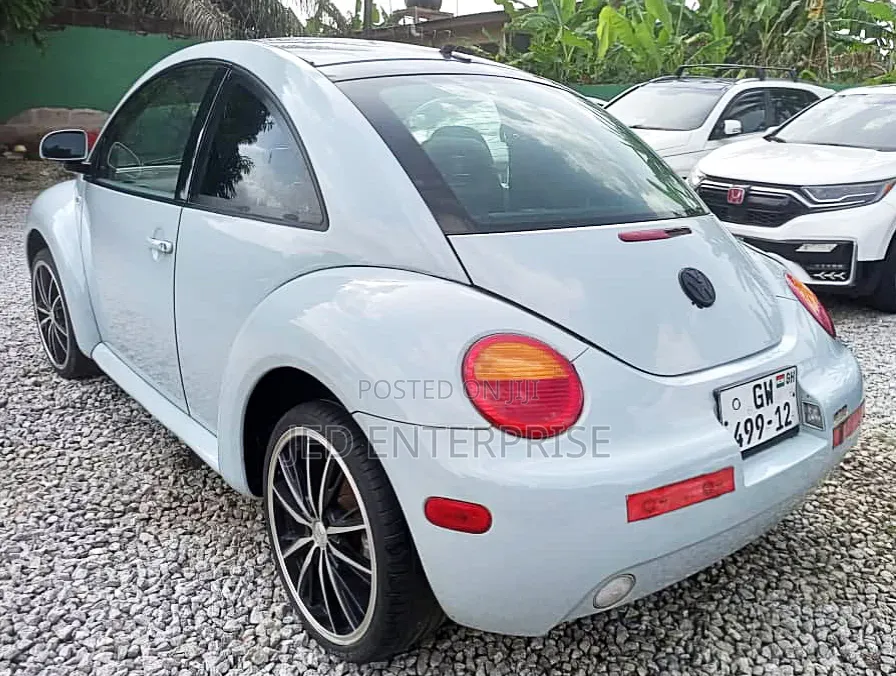 Volkswagen Beetle 2010 Blue