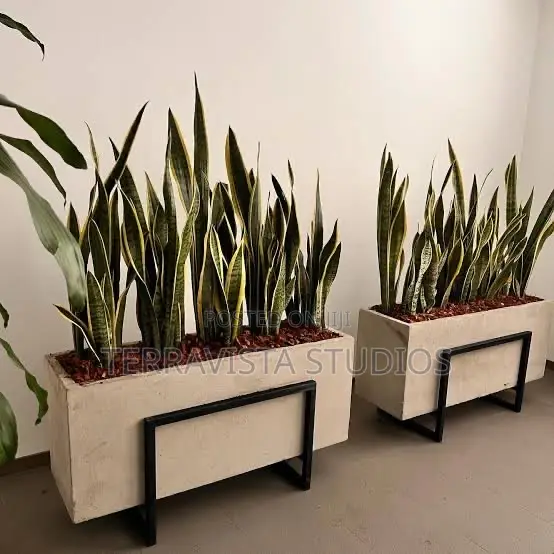 Modern Rectangular Planter Box