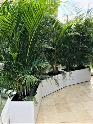 Modern Rectangular Planter Box
