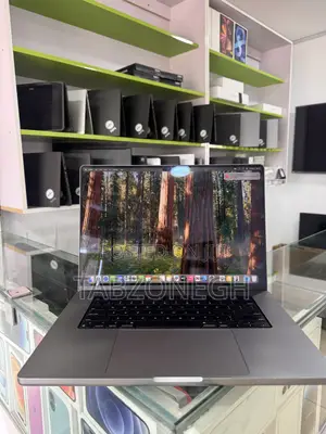 Laptop Apple MacBook Pro 2021 M1 32GB Apple M1 Pro SSD 512GB