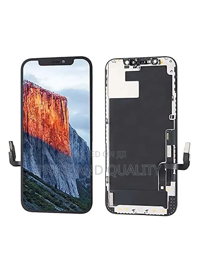 iPhone 12 Pro Max