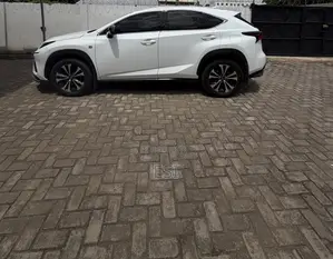 Lexus NX 2019 White
