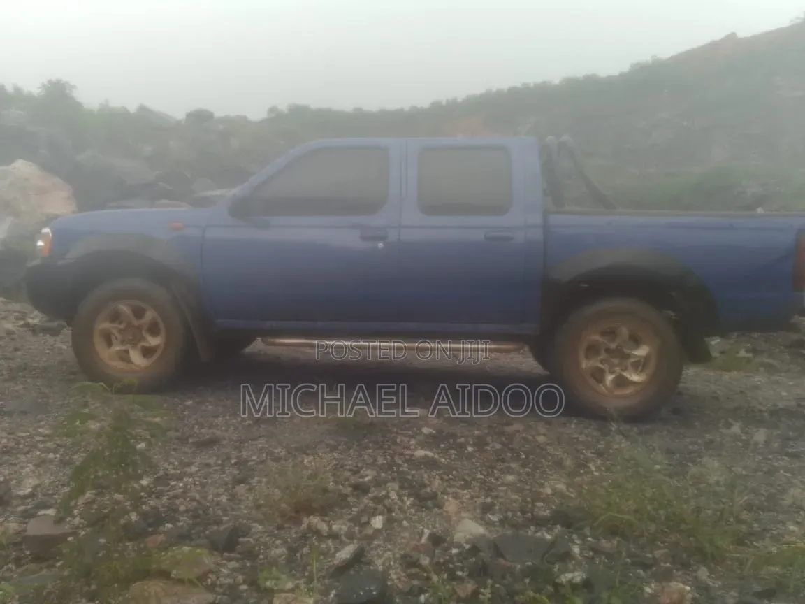 Nissan Hardbody 2010 Blue