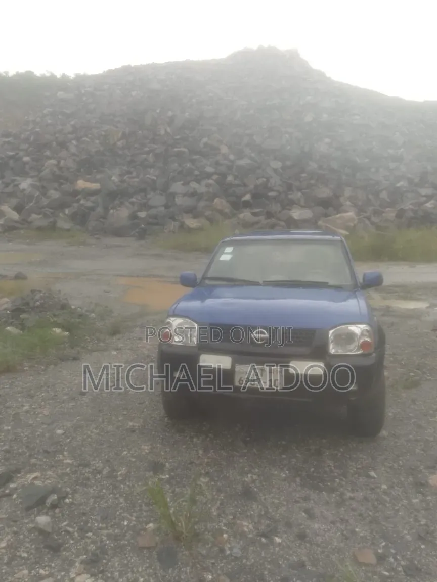 Nissan Hardbody 2010 Blue