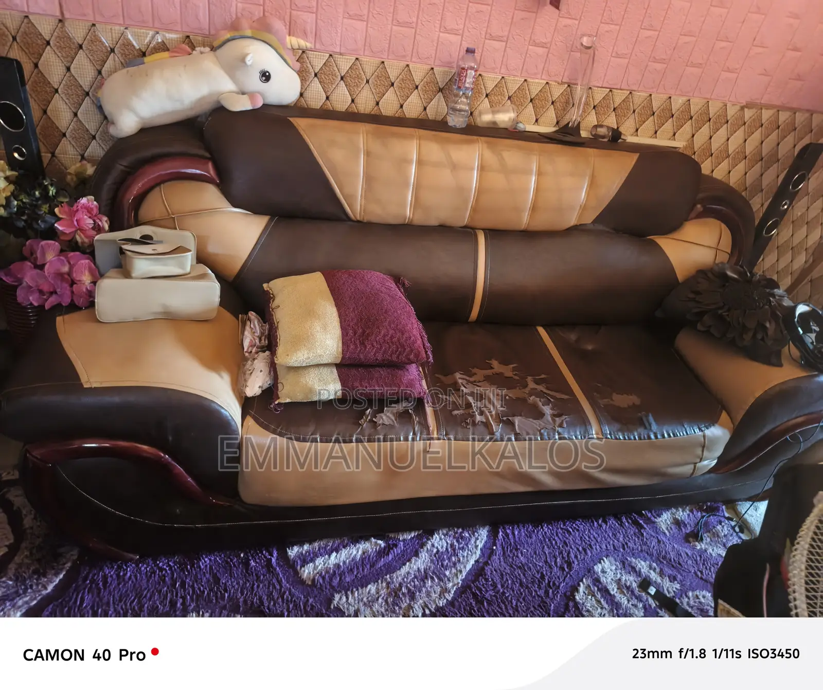 Furniture Sofa