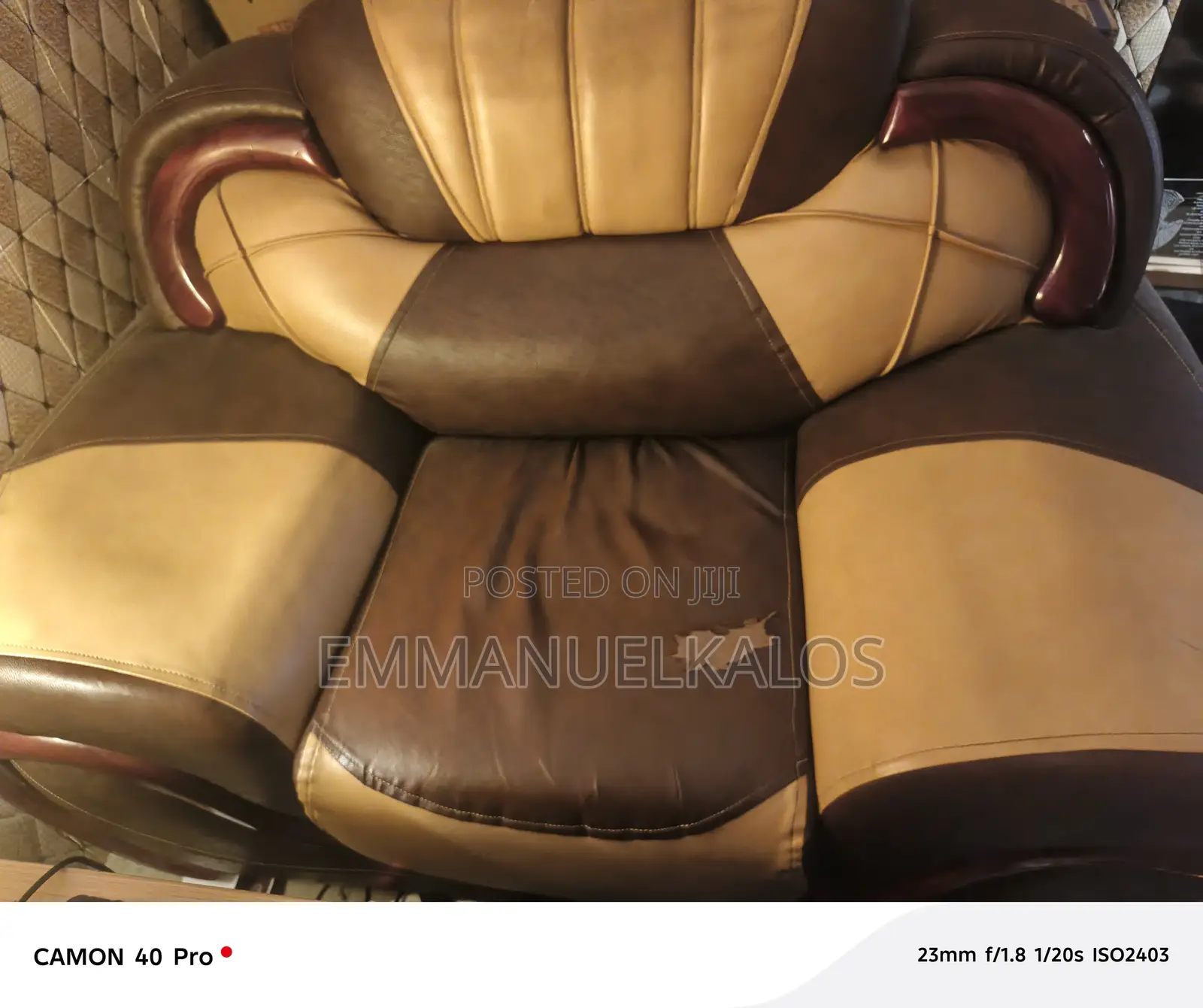 Furniture Sofa
