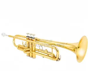 Instrument