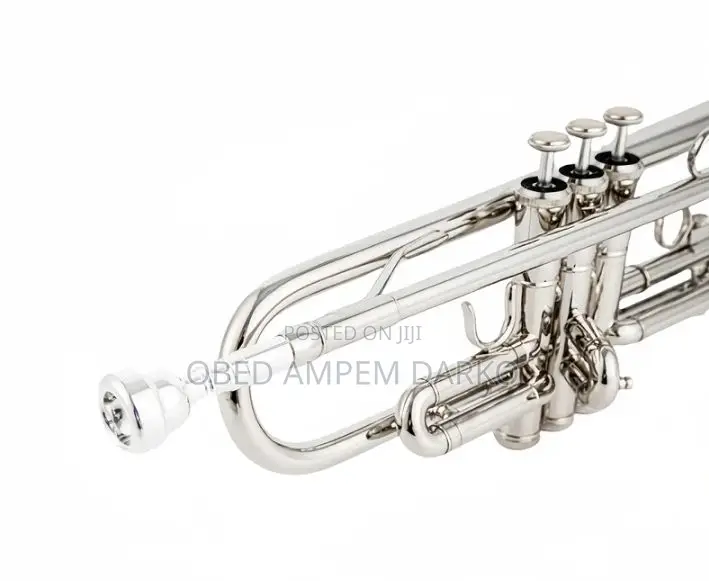 Instrument