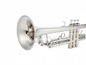 Instrument