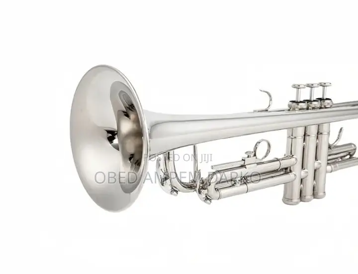Instrument