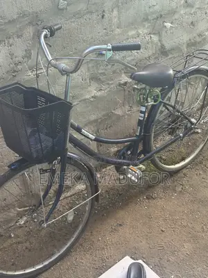 Neatly Used Bicycle
