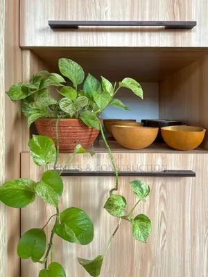Flower Pots