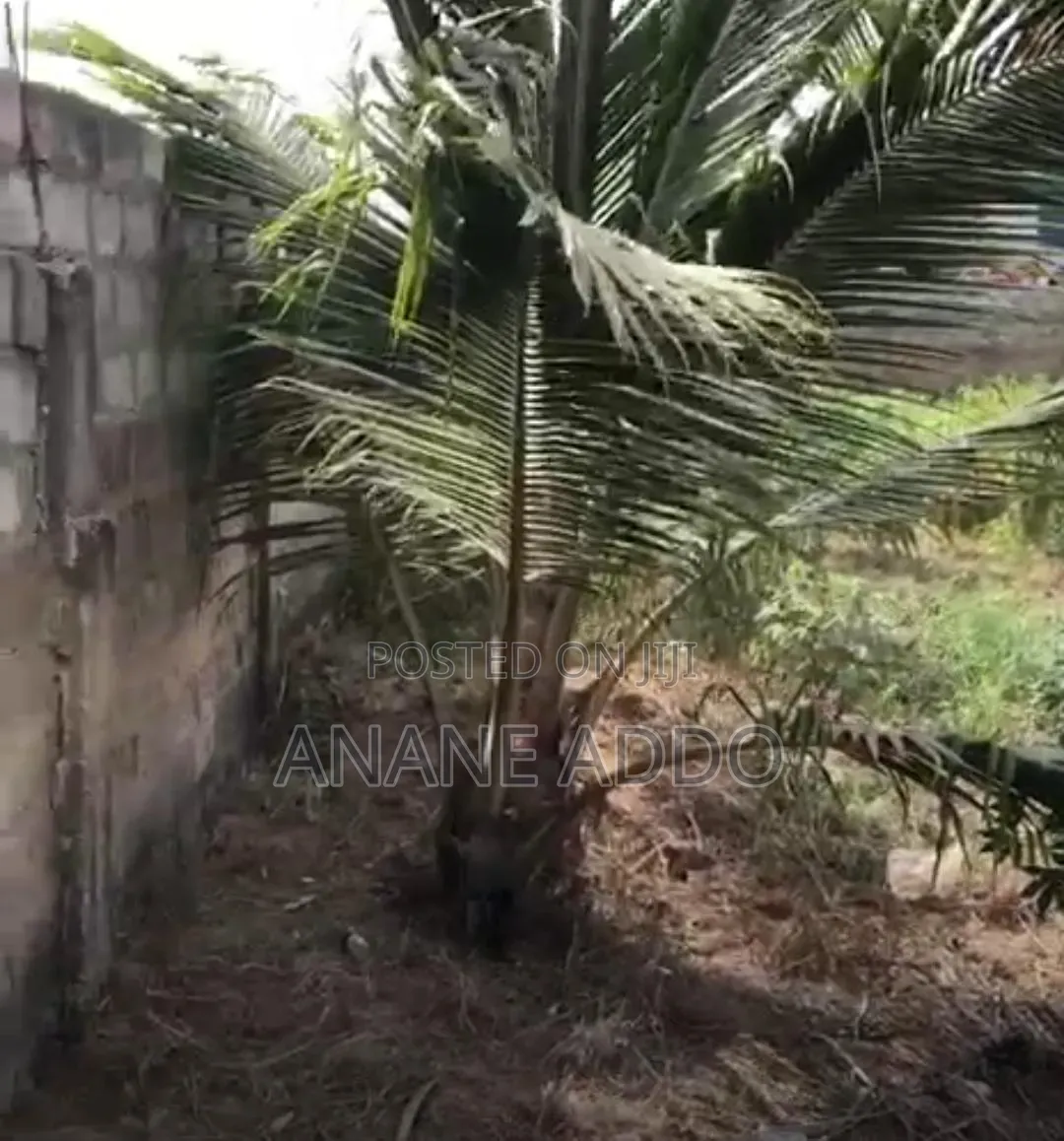 4bdrm Apartment in Nics Property, Gomoa East for sale