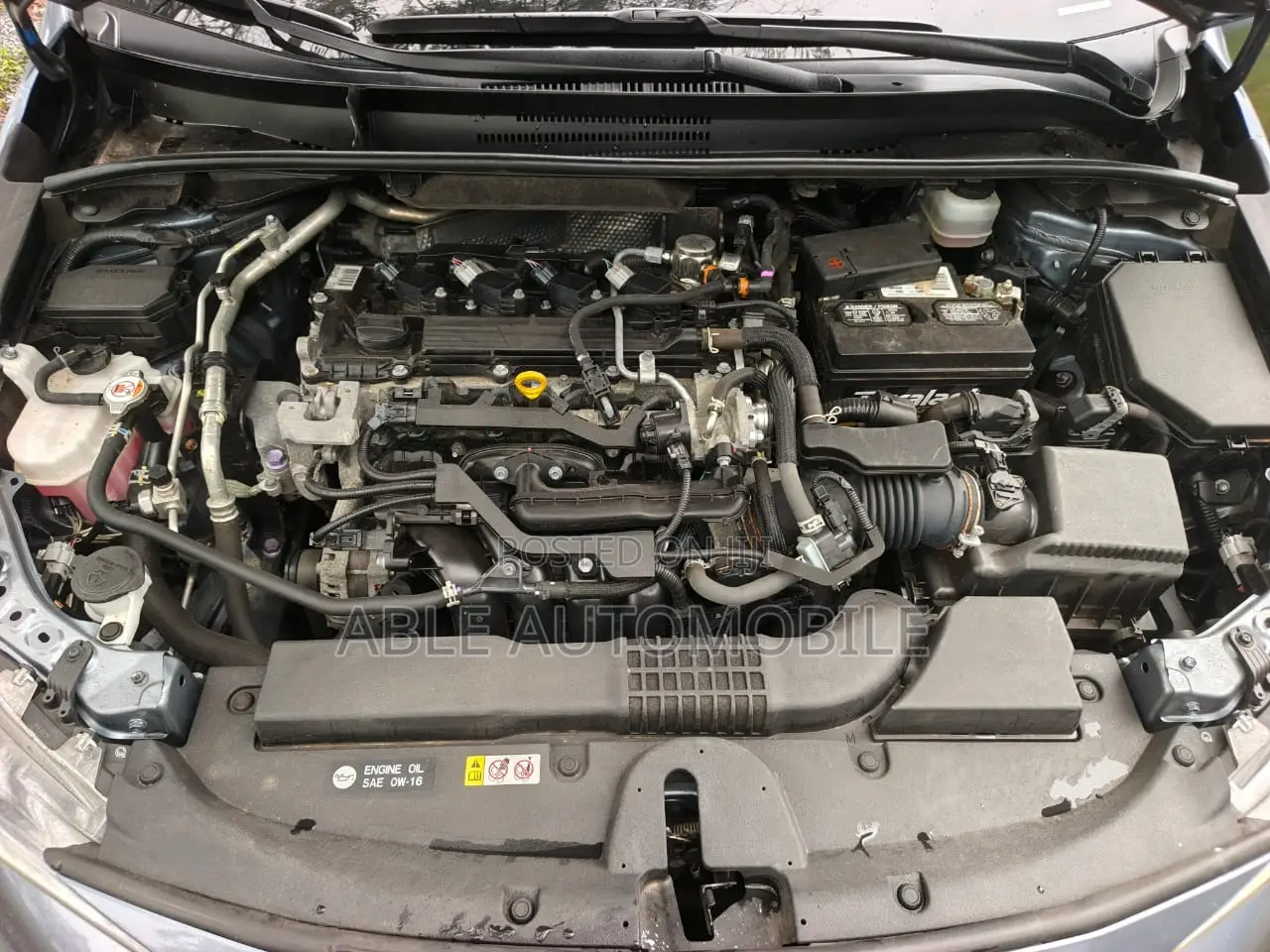 Toyota Corolla LE 2021 Blue