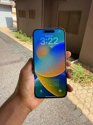 Apple iPhone 15 Pro Max 256 GB Gray