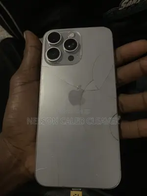 Apple iPhone 15 Pro Max 256 GB Silver