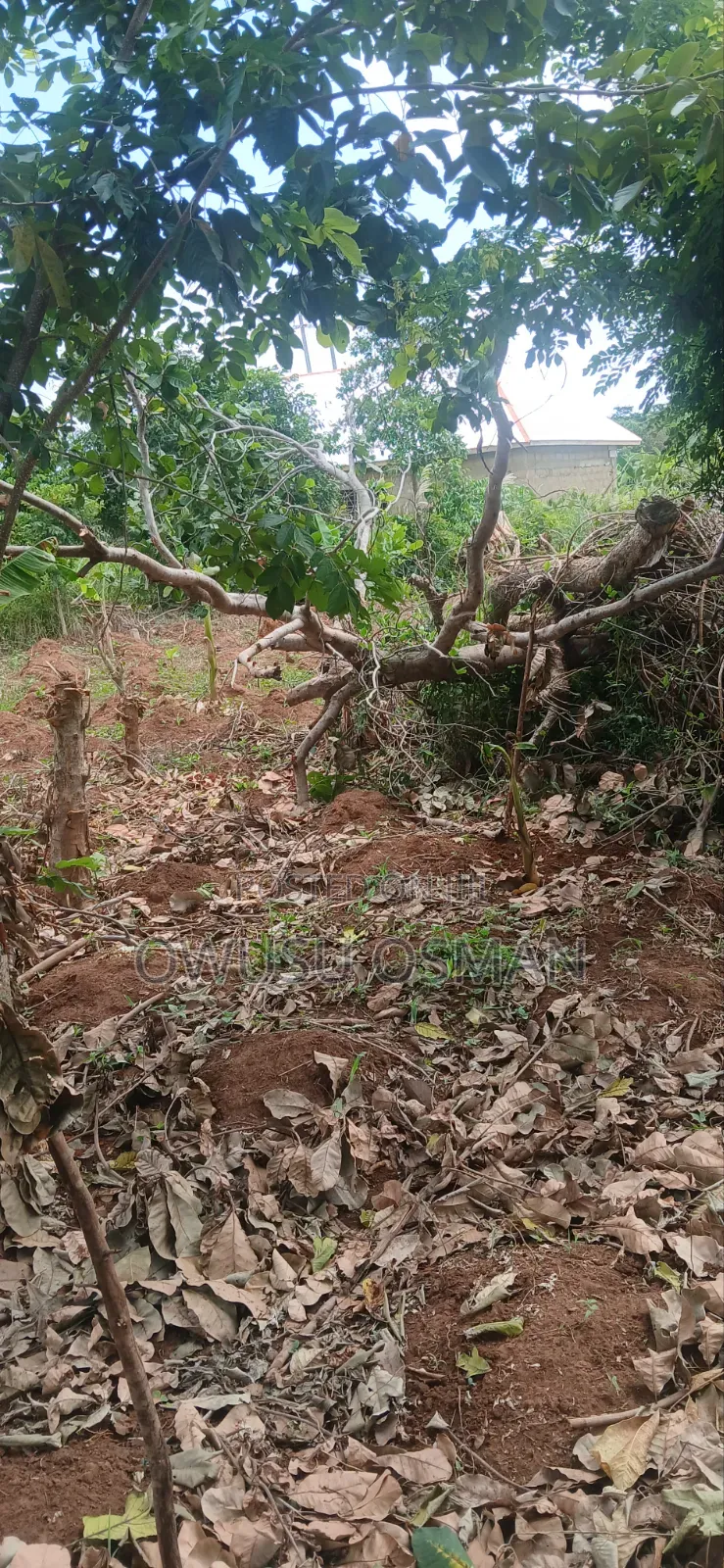 15 Plots on the Techiman to Kumasi Road Next to a Cement Factory