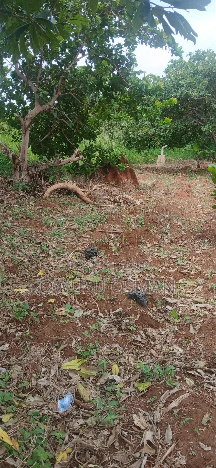 15 Plots on the Techiman to Kumasi Road Next to a Cement Factory
