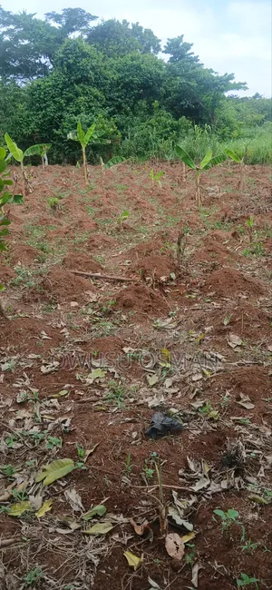 15 Plots on the Techiman to Kumasi Road Next to a Cement Factory