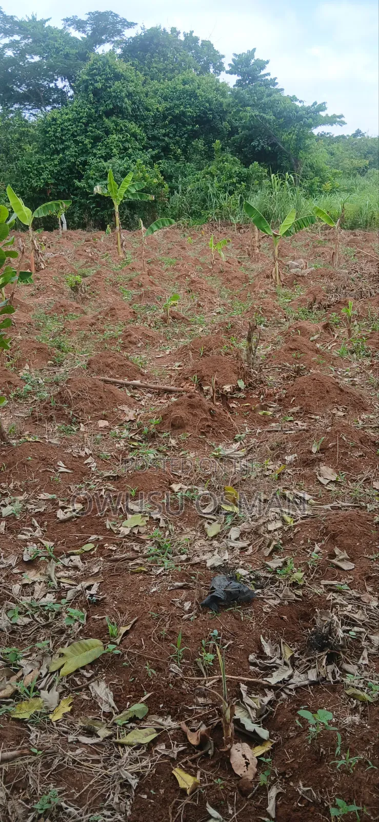 15 Plots on the Techiman to Kumasi Road Next to a Cement Factory