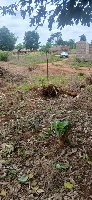 15 Plots on the Techiman to Kumasi Road Next to a Cement Factory