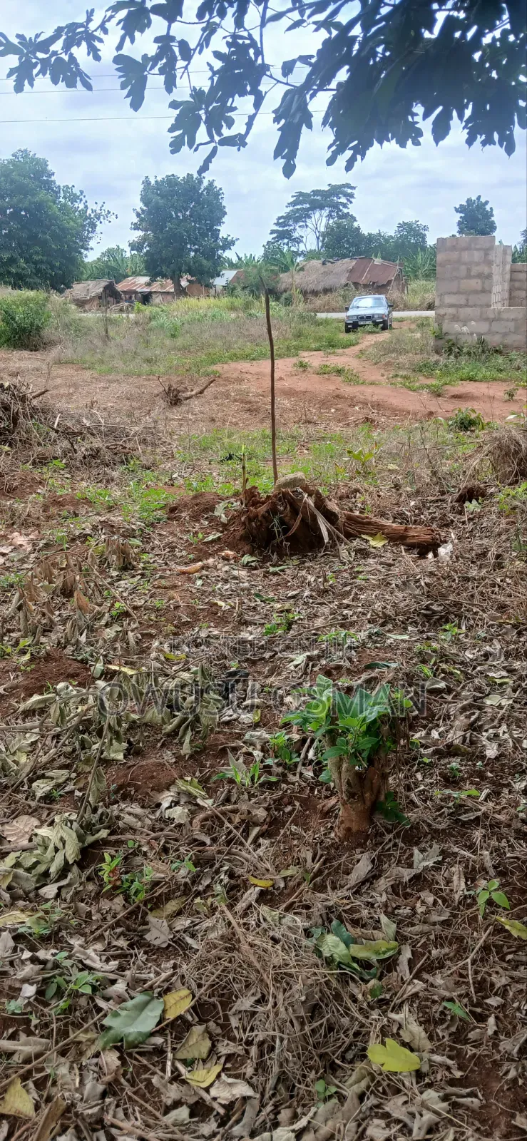 15 Plots on the Techiman to Kumasi Road Next to a Cement Factory