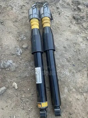 2024 Porche Macan Back Shock Absorber