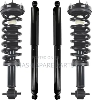 Ford F150 Front and Backshock Absorber